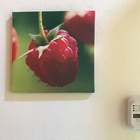 Apartment Lampone *